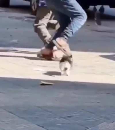 Predator on prowl