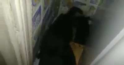 vc gosta de gatos ?, quantos ?...