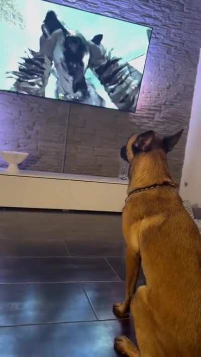 Maybe maybe maybe