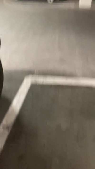 Sucking dick in public