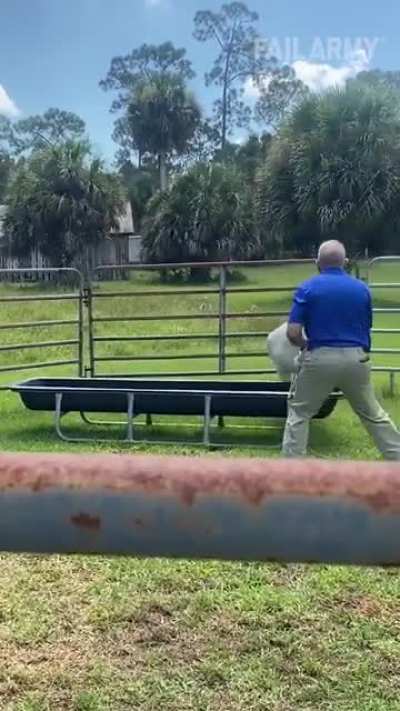 WCGW trying to lasso a bull