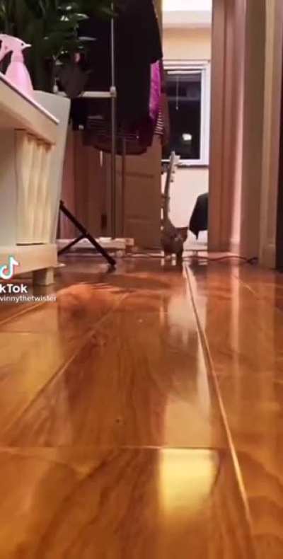 Тыгды<wbr>к-тык<wbr>дык