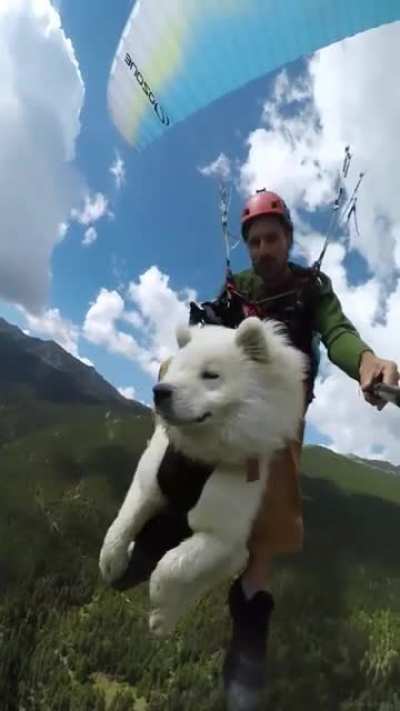 Neverending story