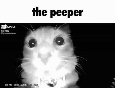 Pee