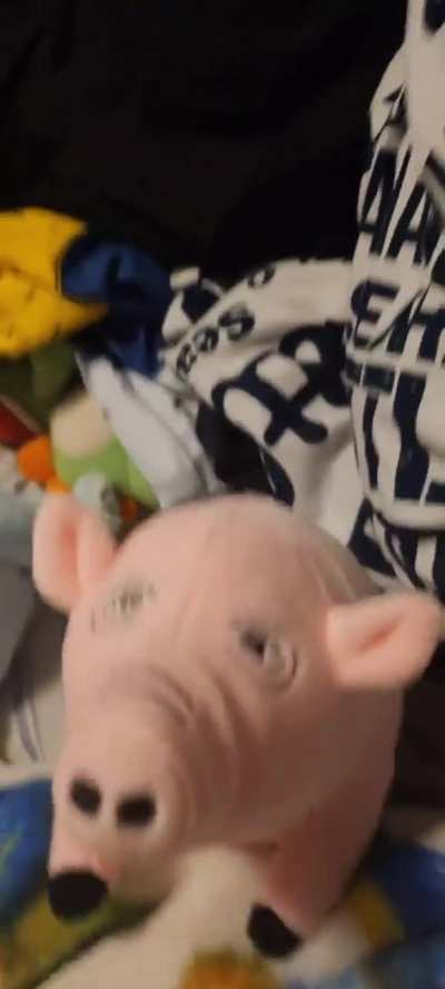 I have aquired Algie