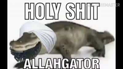 allagator
