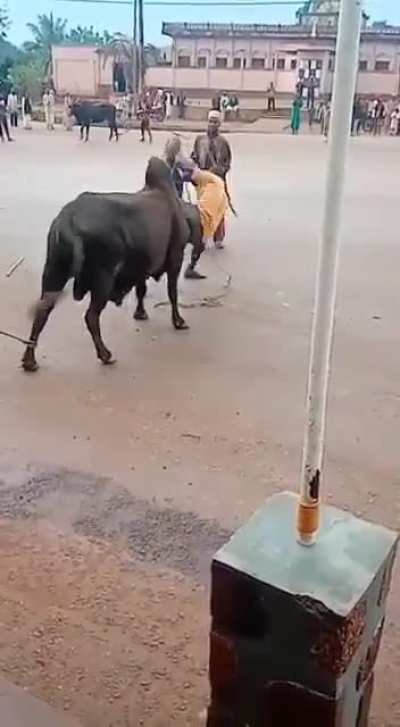Holding on for dear life