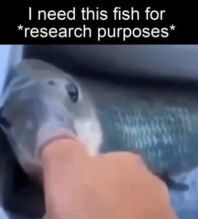i think this is sfw