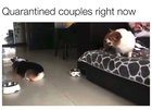 Divorce lawyers after the quarantine will be the richest people on earth