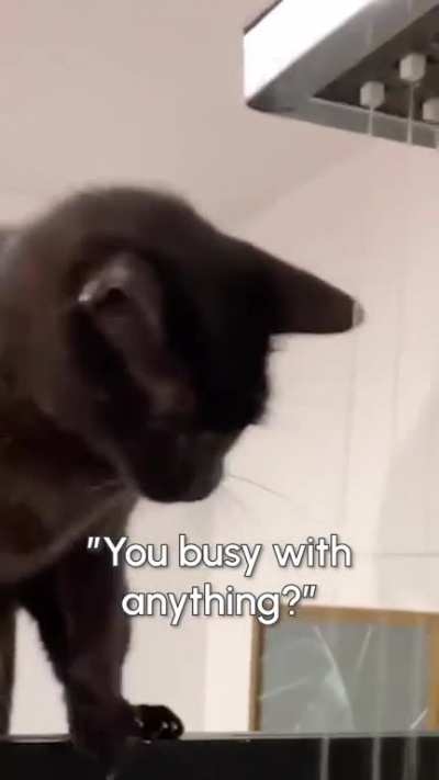don't mind me