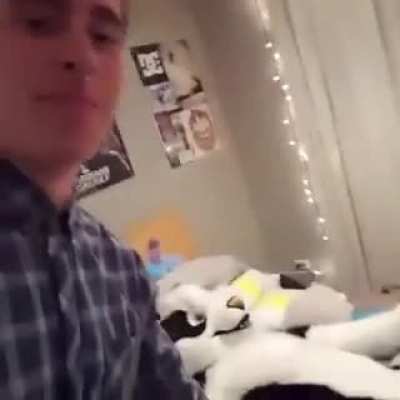 giant stuffed animal