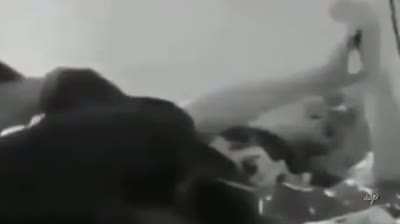 cumshot fail