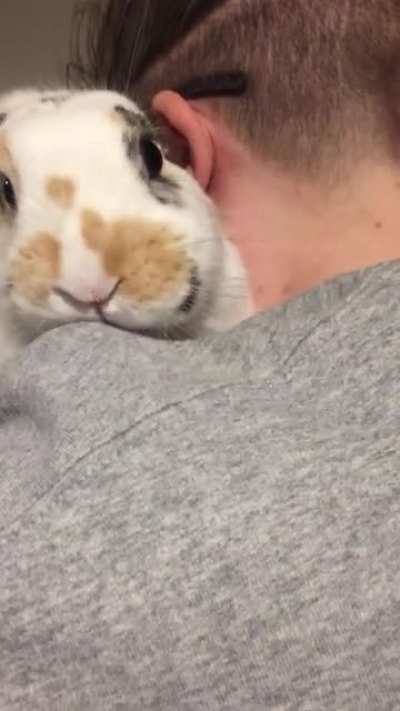 Hero doesn't know what to do with treats if you're holding her while you feed them to her