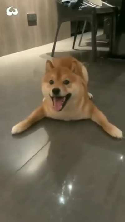 Woof_irl