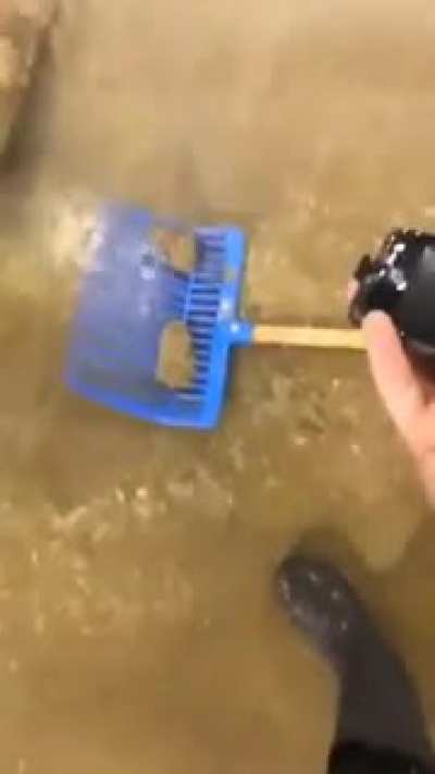 Finding phone