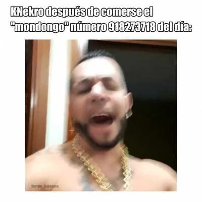 Mondongo jijiji