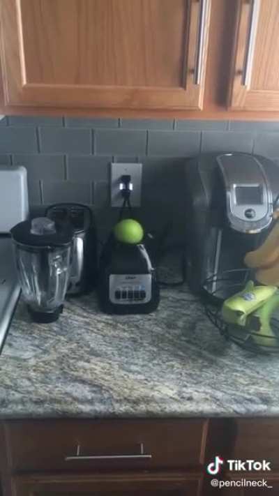 Wait for it