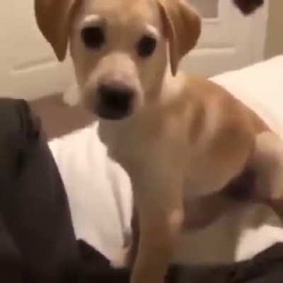 Cute boy