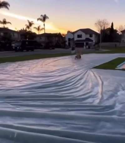 ThisLooksFun