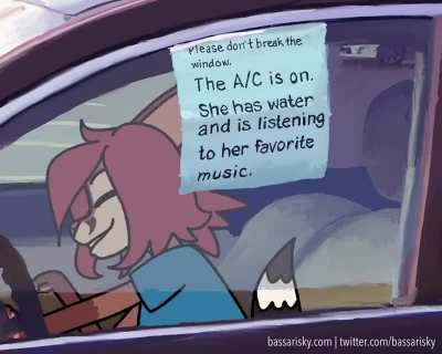 car_irl