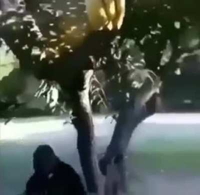 Banana? Noooo