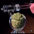 does anyone know what this is called ?