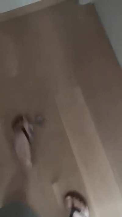 school is scary