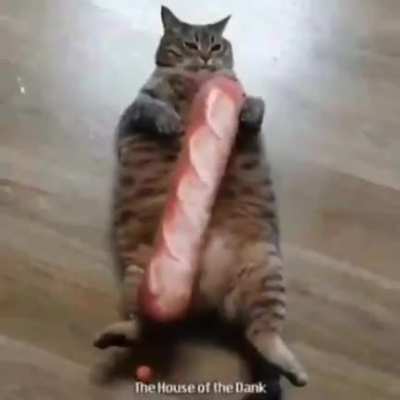🥖🥖🥖