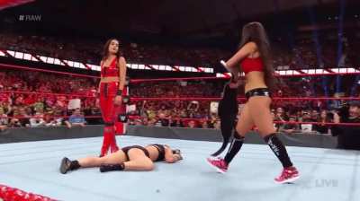 Ronda bullied by the Bella twins. She clearly wasn't cut out for WWE!