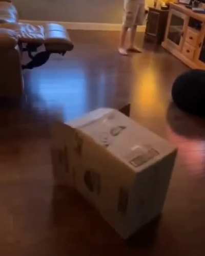 Kids love boxes.