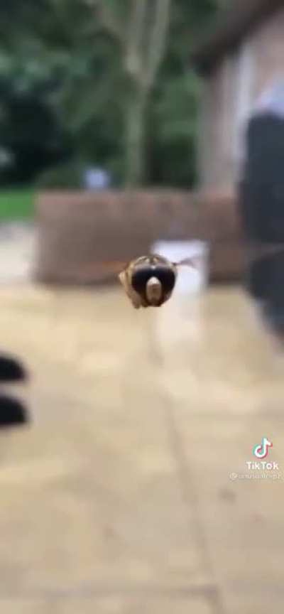 Buzz him in