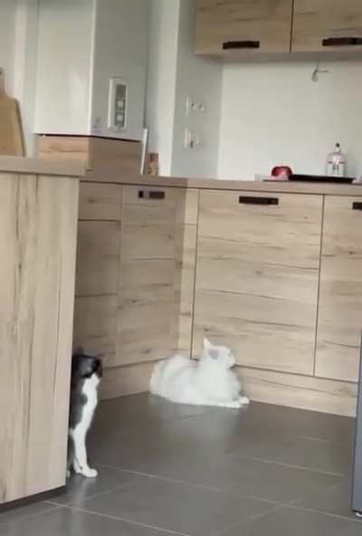 How!?