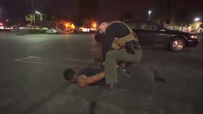 Worlds Funniest Arrest