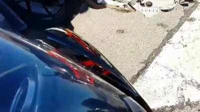 Cuando se te cruza una paloma a 300km/h