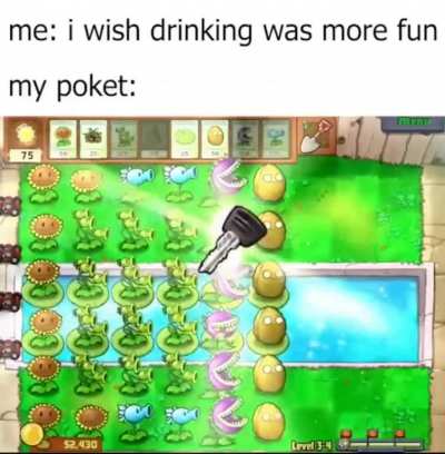 booze cruising behavior