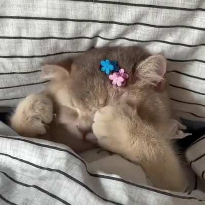 Just 5 more minutes