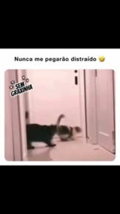 Enis neime is Jhon Cina