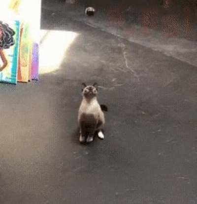 h0uSeCaT fUcKiNg CRUsHEd bY meTe0R