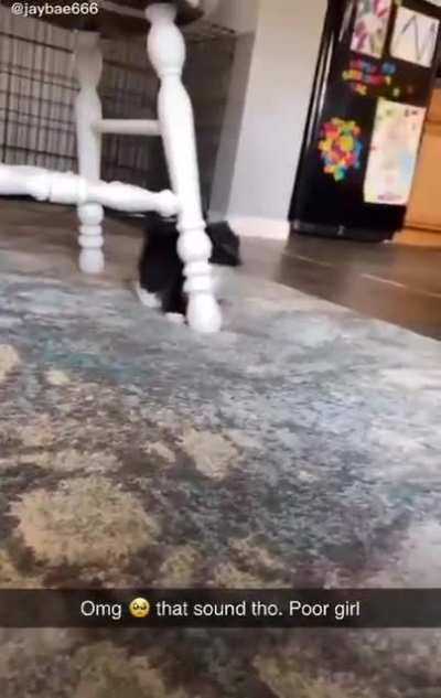 Bonk
