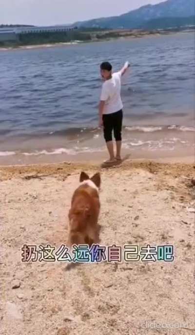 fetch