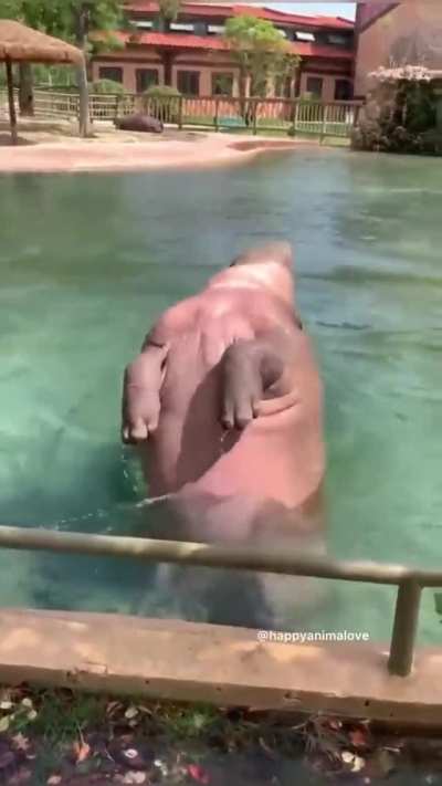 graceful