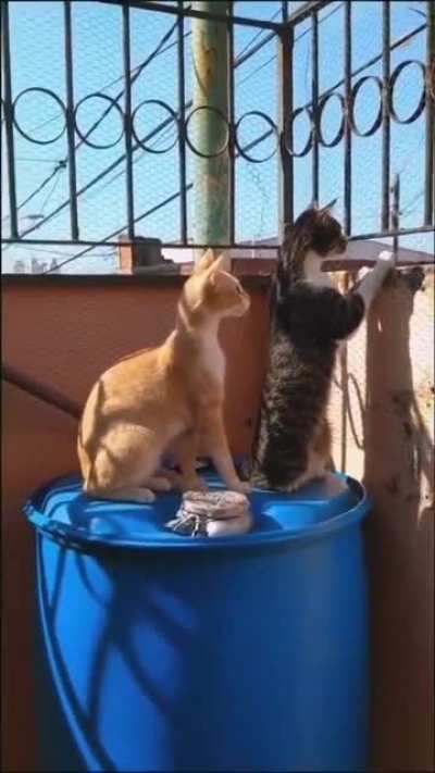 Краси<wbr>вое