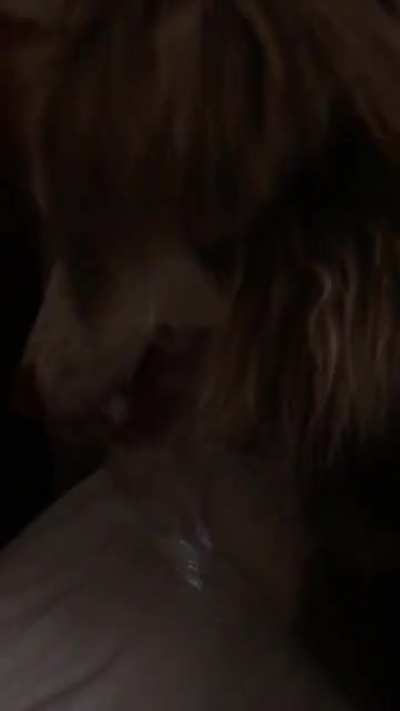Dogs these days