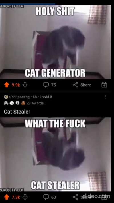 Holy Fuck
