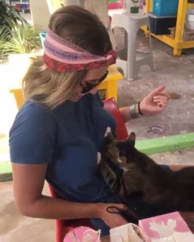 It's good to be a cat