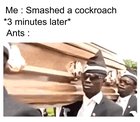 Me irl
