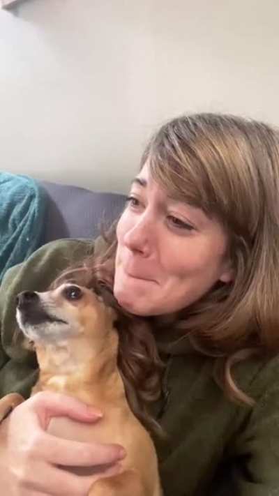 Dog Duet