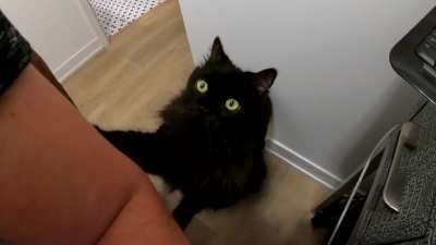 Pet the Void
