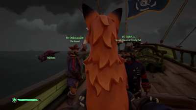 Wanted to show my friends my new pet. They responded with no remorse.