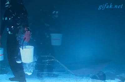 [No Spoilers]Rare IRL subnautica mining gif